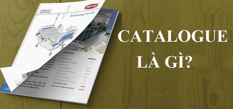 Quá tin tưởng các thông số trong Catalog