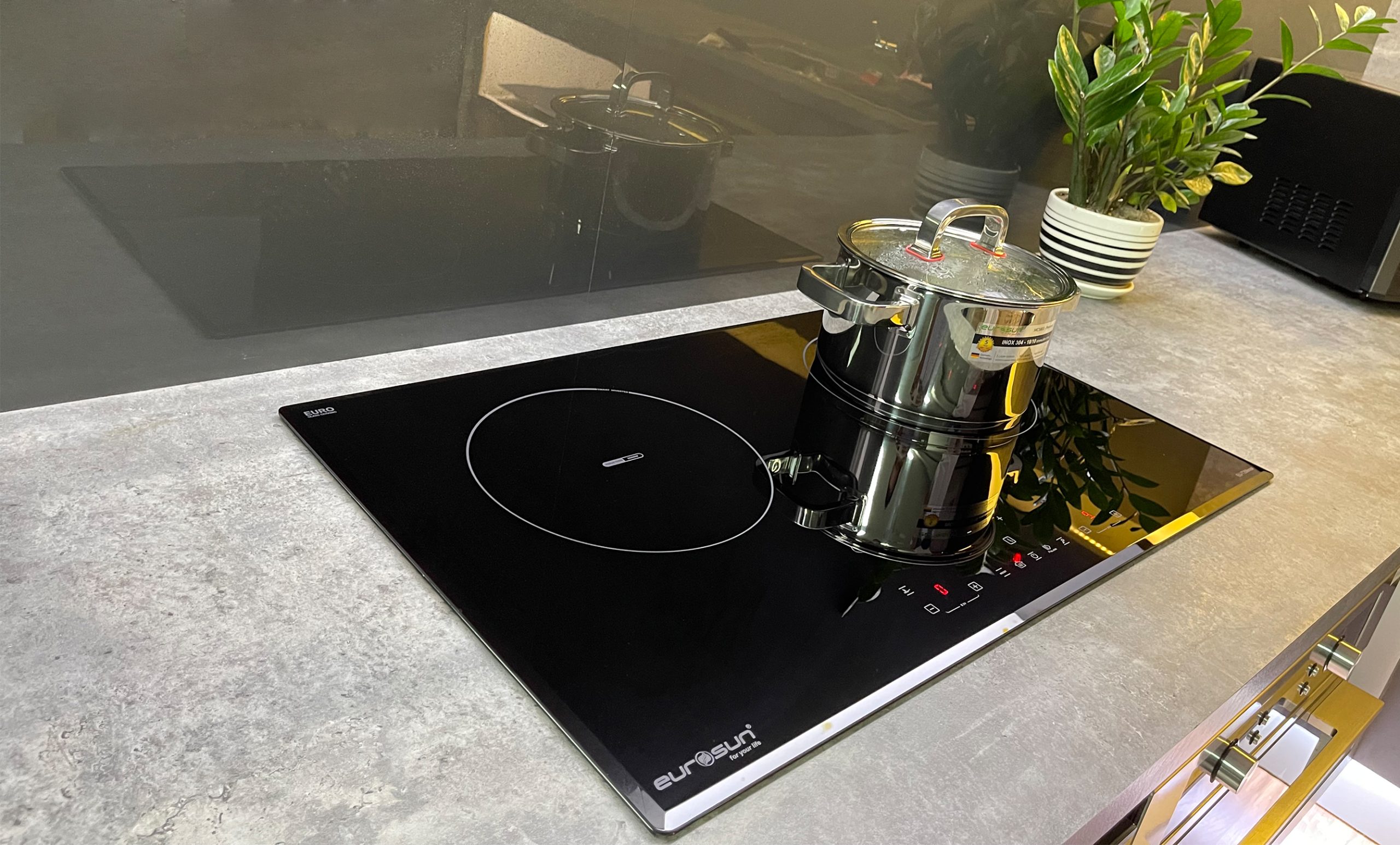 Bếp Từ Eurosun EU-T256Max