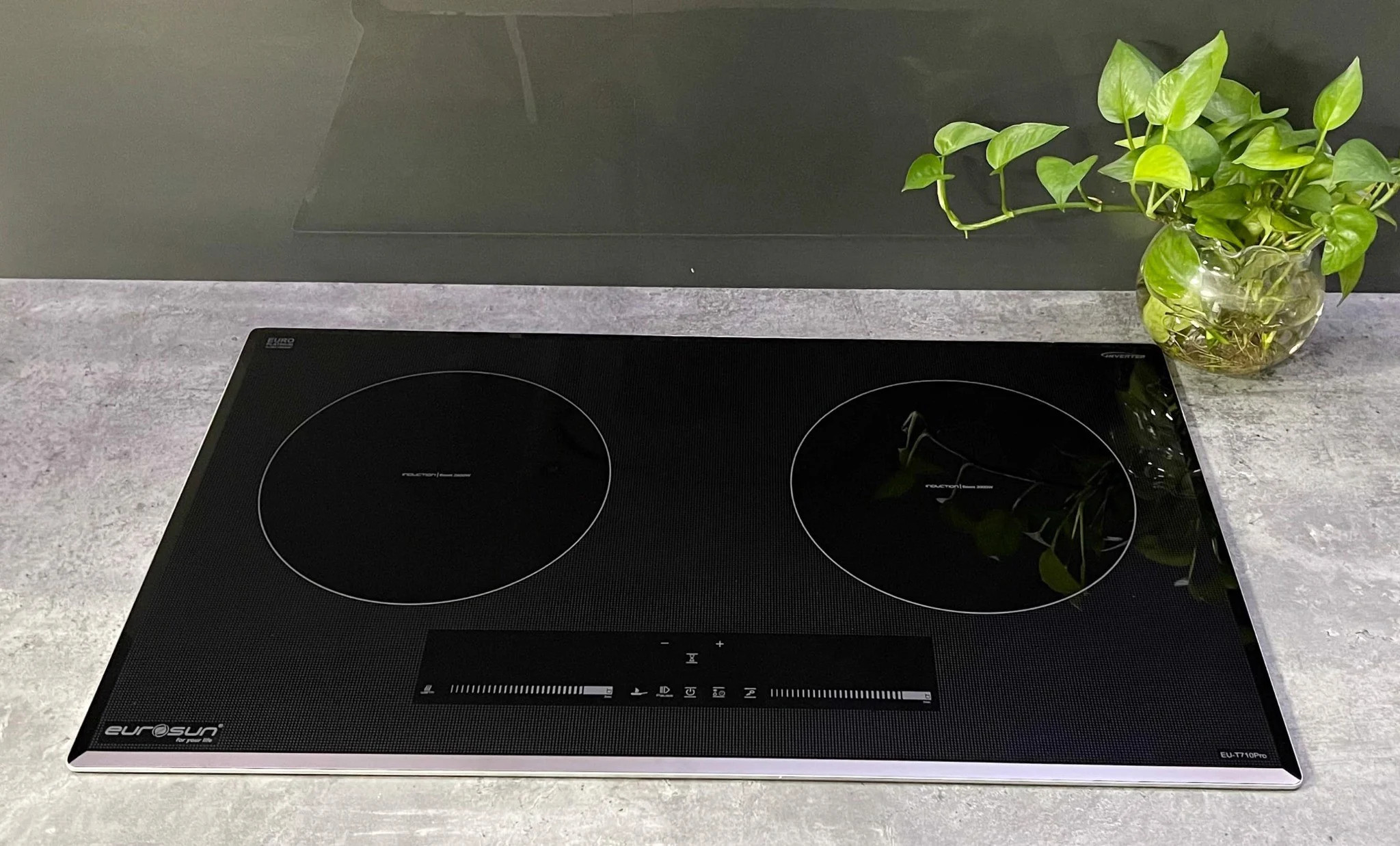 Combo Bếp Từ Eurosun EU-T710Pro 1