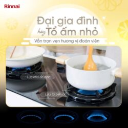 Bếp gas âm Rinnai RVB-2iFC(B)