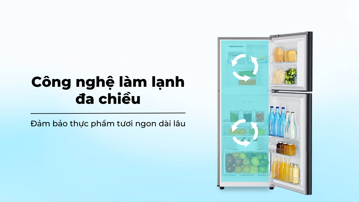 Tủ lạnh Samsung Inverter 208 lít RT20HAR8DBU/SV
