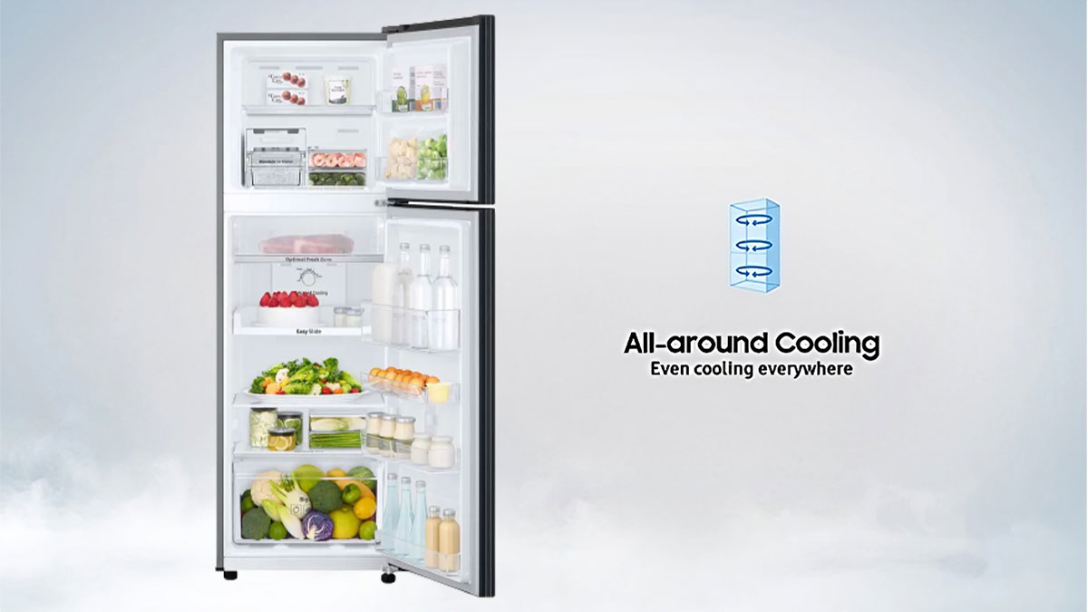 Tủ lạnh Samsung Inverter 256 lít RT25M4032BU/SV