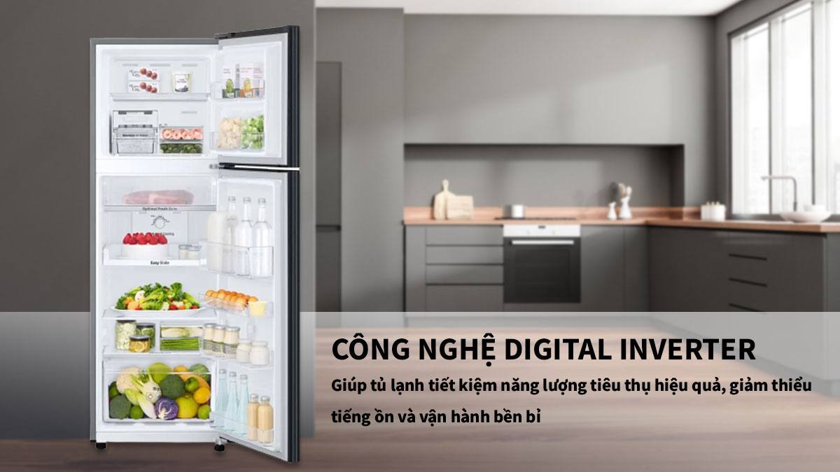 Tủ lạnh Samsung Inverter 256 lít RT25M4032BU/SV