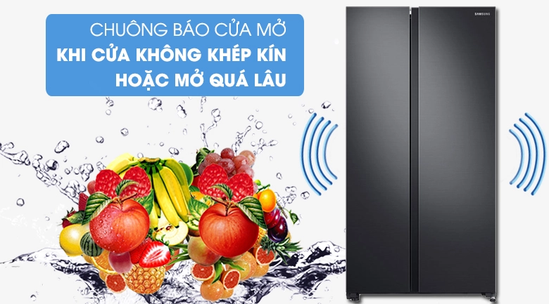 Tủ lạnh Samsung Inverter 655 lít Side By Side RS62R5001B4/SV
