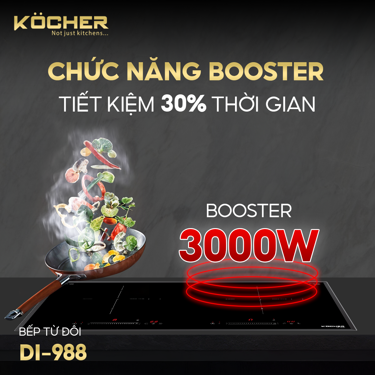 Bếp Từ Kocher DI-988