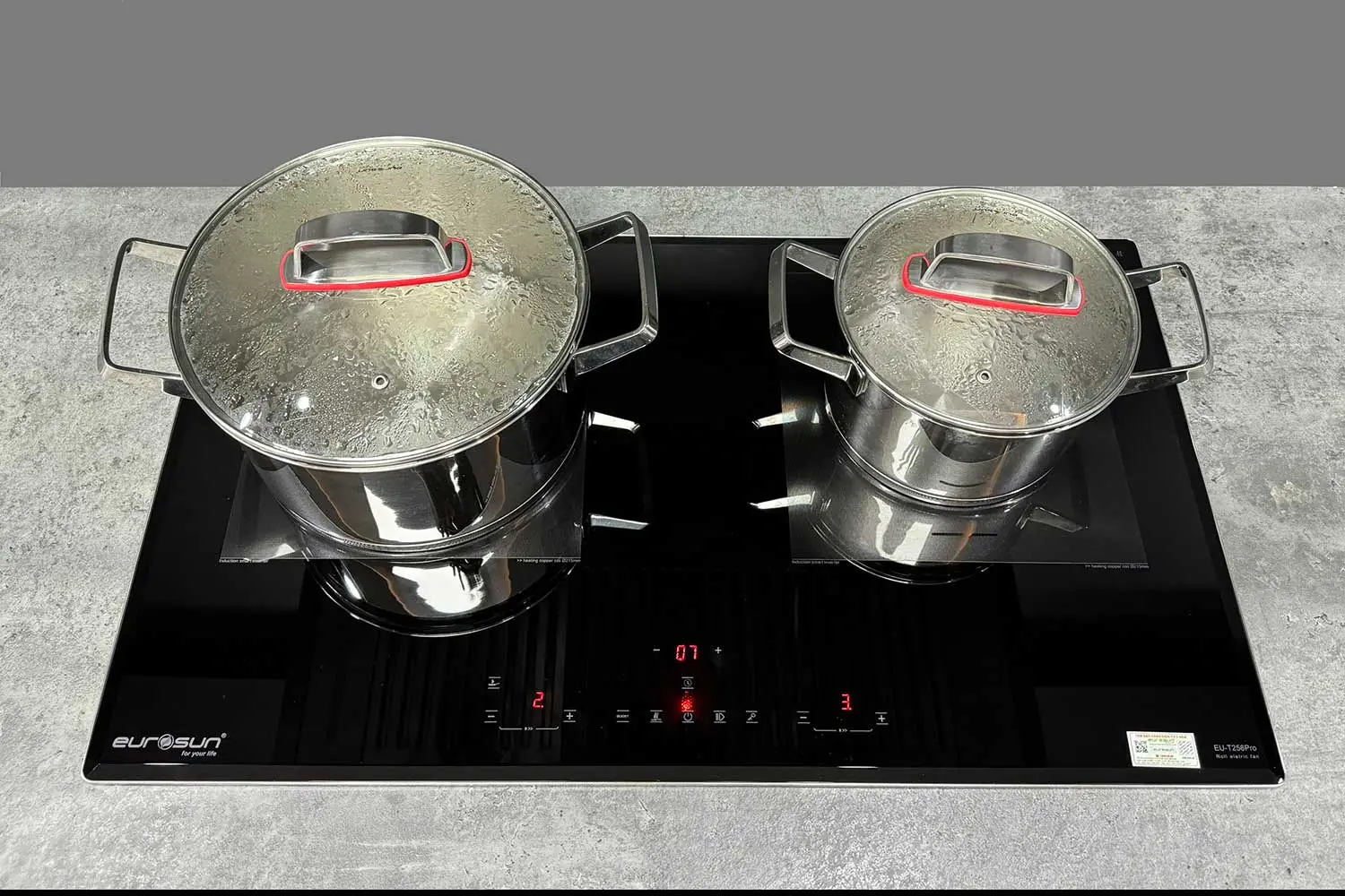 Combo Bếp Từ Eurosun EU-T256 Pro 2