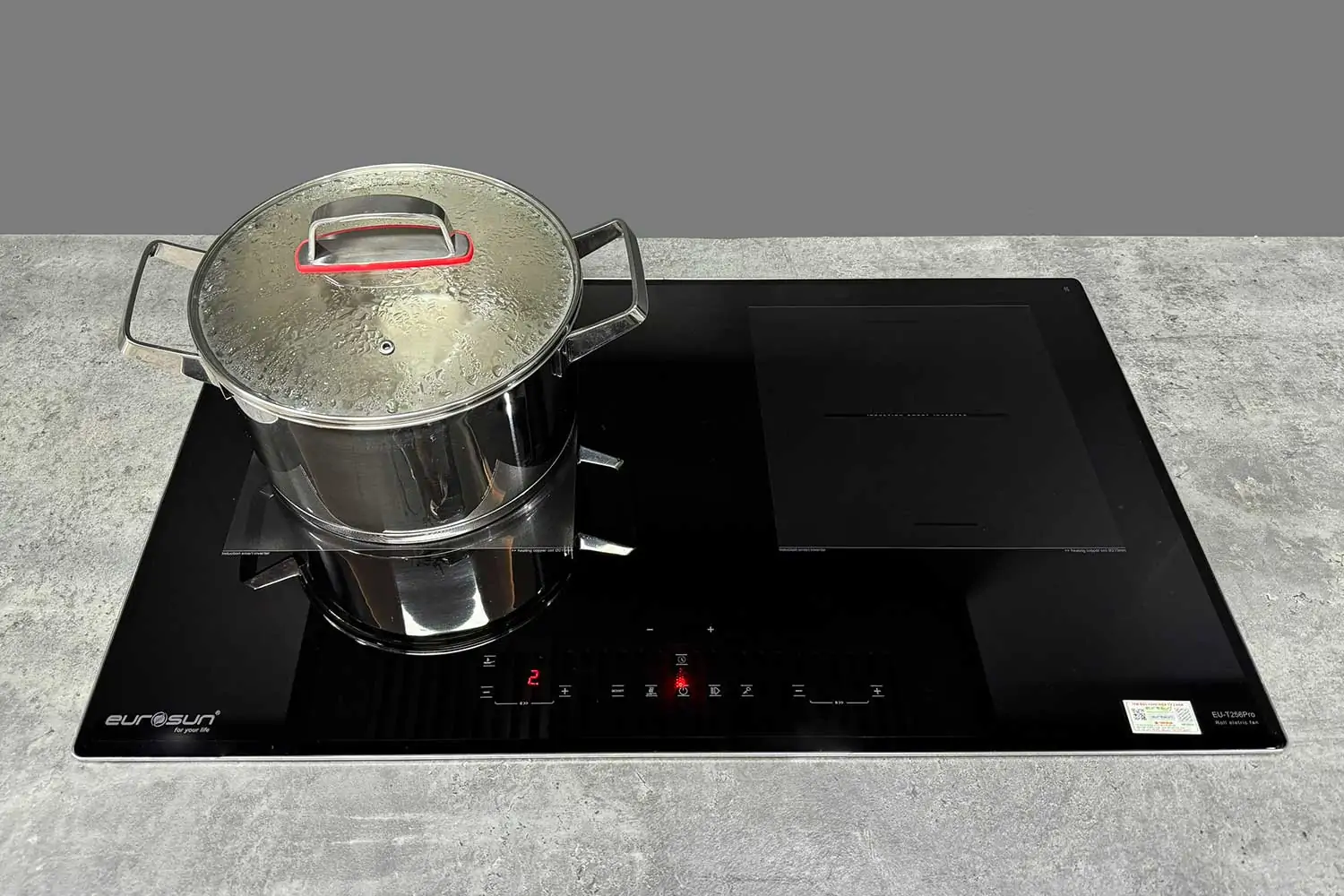 Combo Bếp Từ Eurosun EU-T256 Pro 2