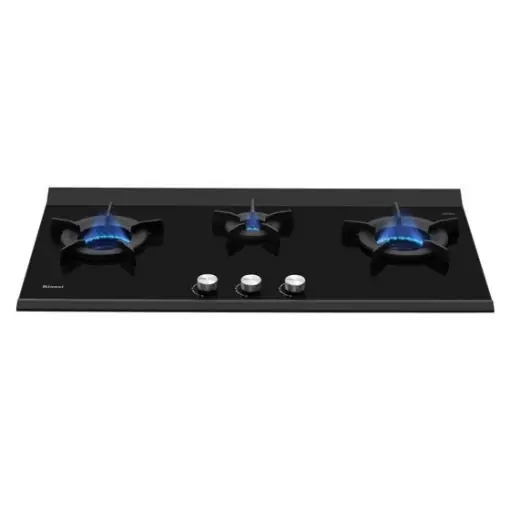 Bếp gas âm nhập Nhật Rinnai RB-3VCGN 2