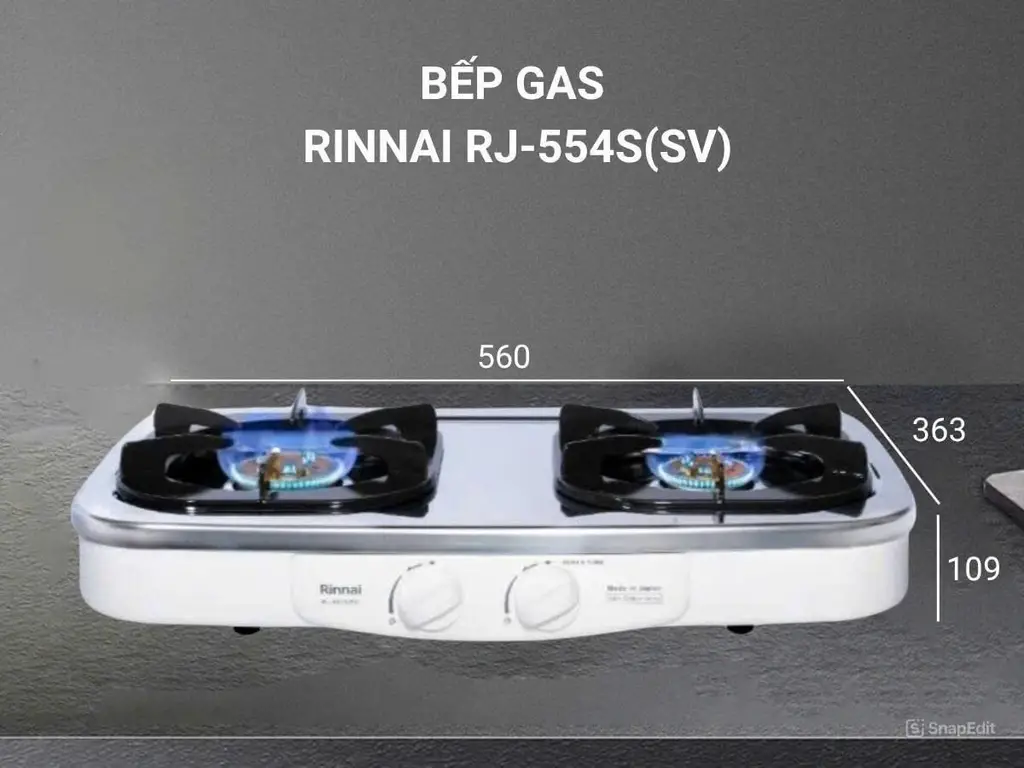 Bếp Gas Rinnai Nhập Nhật RJ-554S(SV)